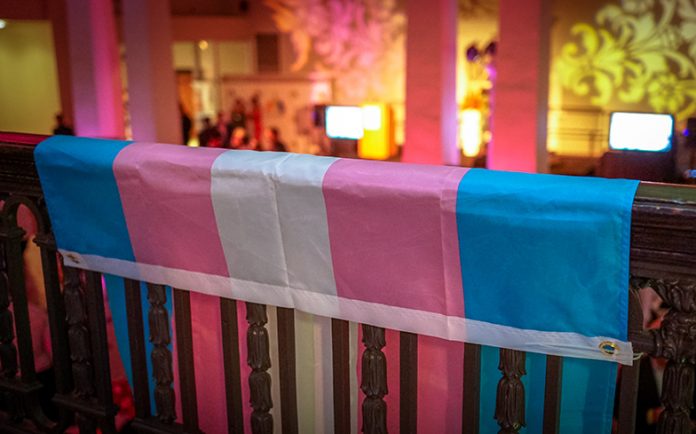bandera trans