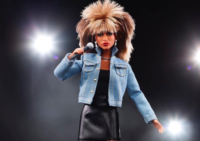 Barbie de Tina Turner