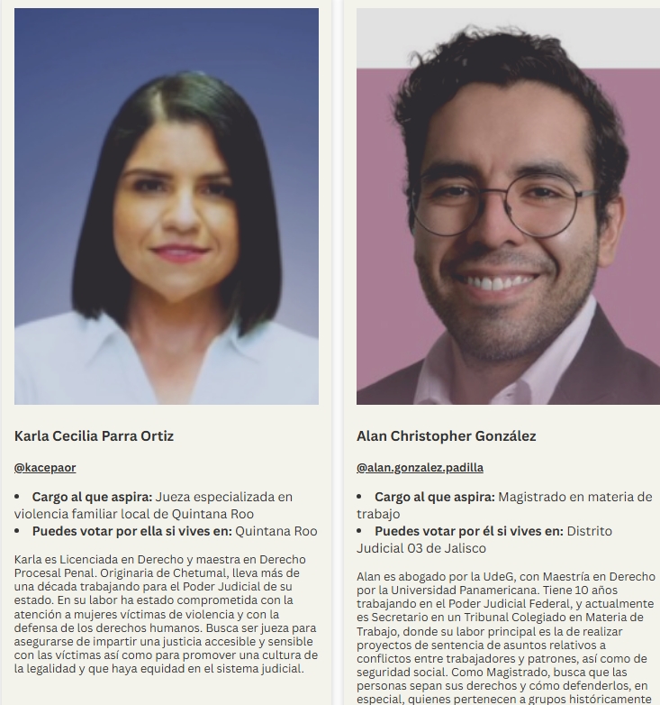 candidaturas LGBT+